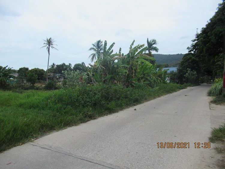 💖 ที่ดิน เกาะสมุย ราคาพิเศษ! 💖