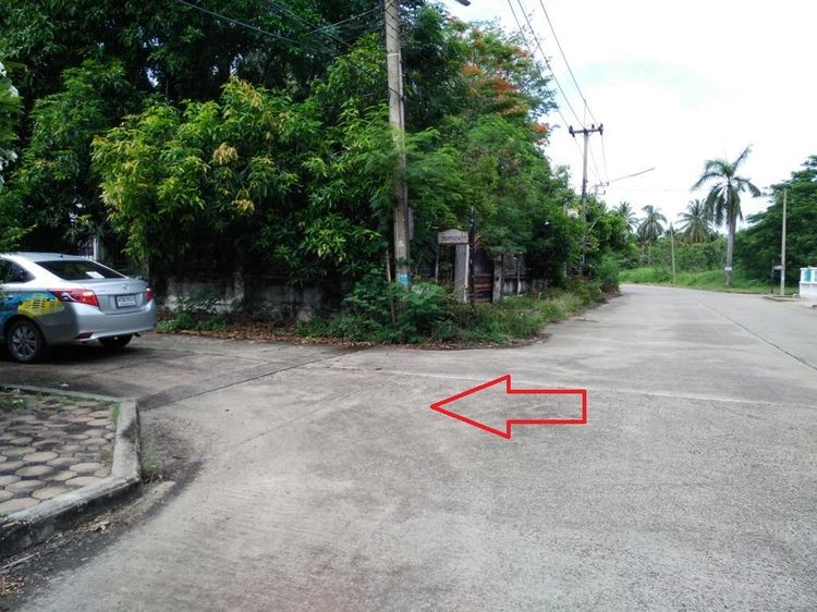 ใช่ 💖 ที่ดิน นครชัยศรี ราคาพิเศษ! 💖 รูปที่ 3