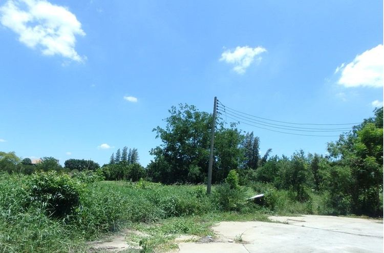 💖 ที่ดิน นครชัยศรี ราคาพิเศษ! 💖