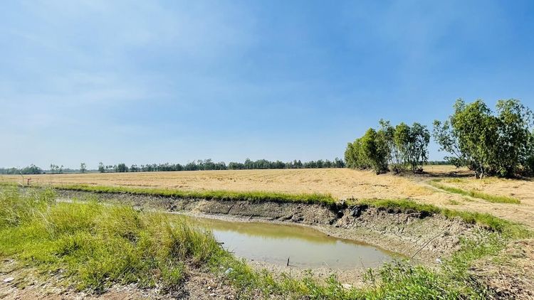 ใช่ 💖 ที่ดิน บางไทร ราคาพิเศษ! 💖 รูปที่ 2