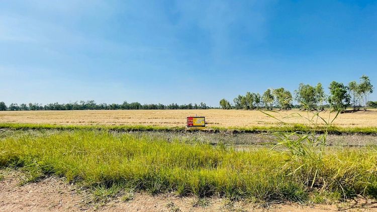 ใช่ 💖 ที่ดิน บางไทร ราคาพิเศษ! 💖 รูปที่ 4