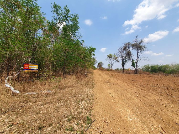 ใช่ 💖 ที่ดิน บึงสามพัน ราคาพิเศษ! 💖 รูปที่ 3