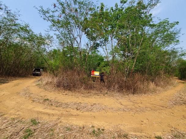 ใช่ 💖 ที่ดิน บึงสามพัน ราคาพิเศษ! 💖 รูปที่ 2