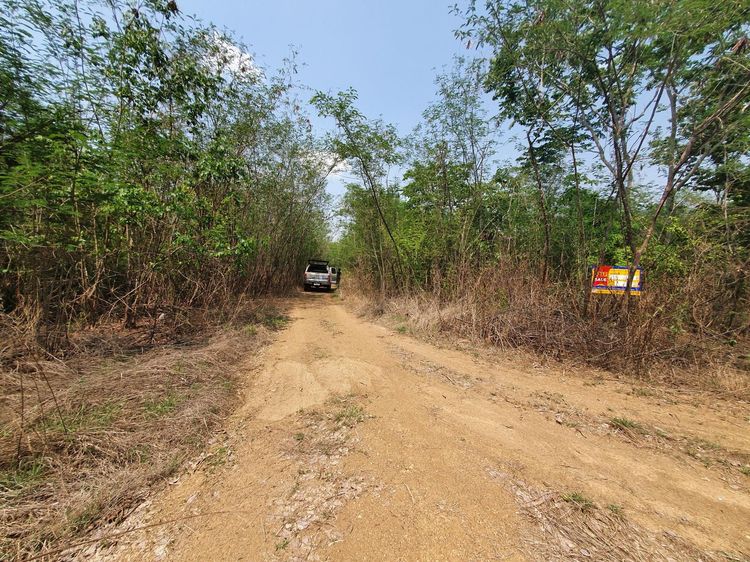 ใช่ 💖 ที่ดิน บึงสามพัน ราคาพิเศษ! 💖 รูปที่ 4