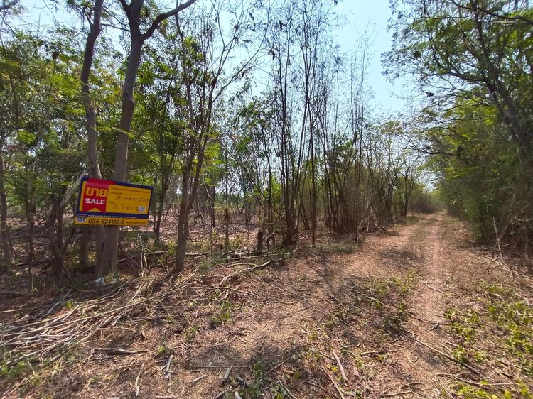 ใช่ 💖 ที่ดิน สองพี่น้อง ราคาพิเศษ! 💖 รูปที่ 2