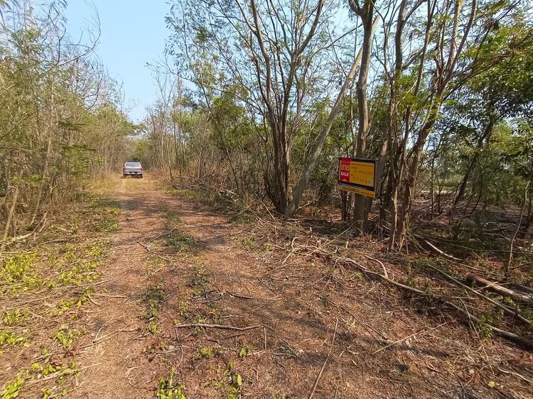 ใช่ 💖 ที่ดิน สองพี่น้อง ราคาพิเศษ! 💖 รูปที่ 3