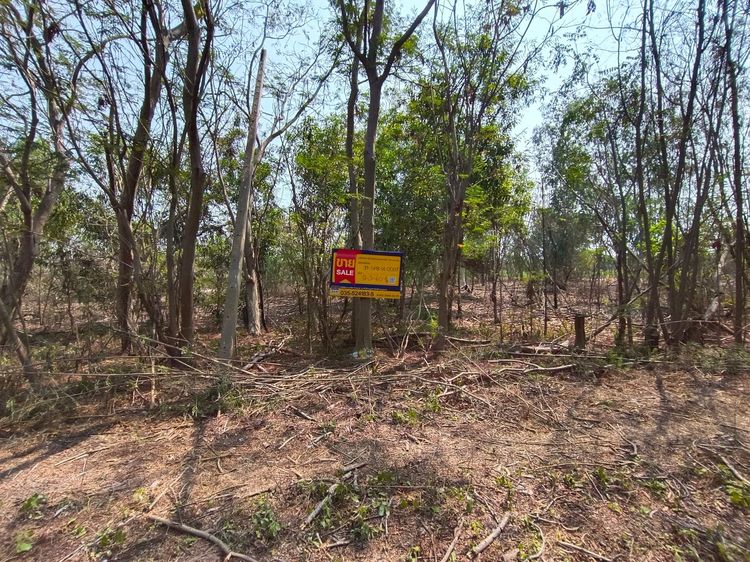 ใช่ 💖 ที่ดิน สองพี่น้อง ราคาพิเศษ! 💖