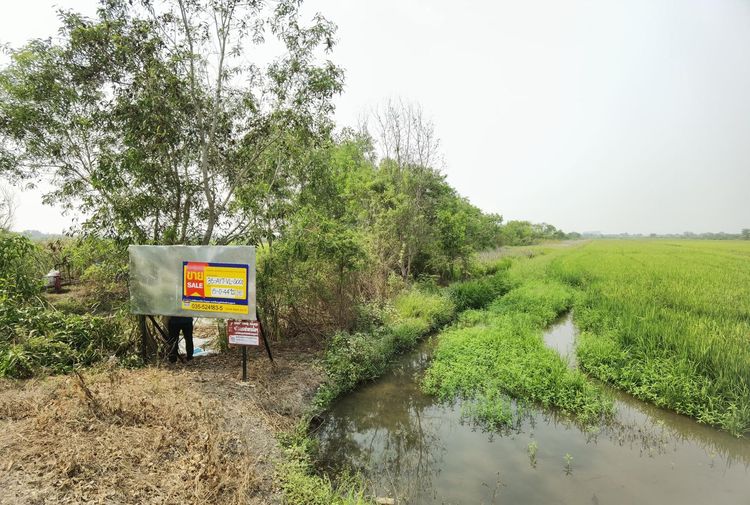 ใช่ 💖 ที่ดิน วังน้อย ราคาพิเศษ! 💖 รูปที่ 4