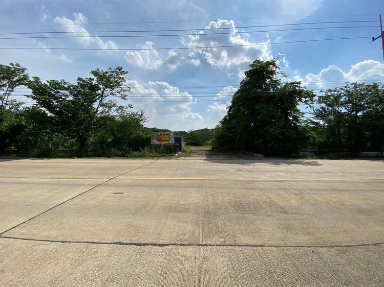 💖 ที่ดิน อินทร์บุรี ราคาพิเศษ! 💖