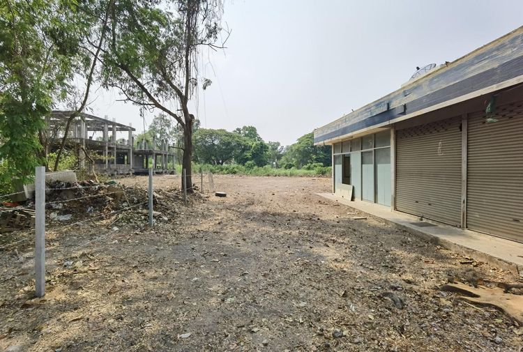 ใช่ 💖 ที่ดิน บางปะอิน ราคาพิเศษ! 💖 รูปที่ 4