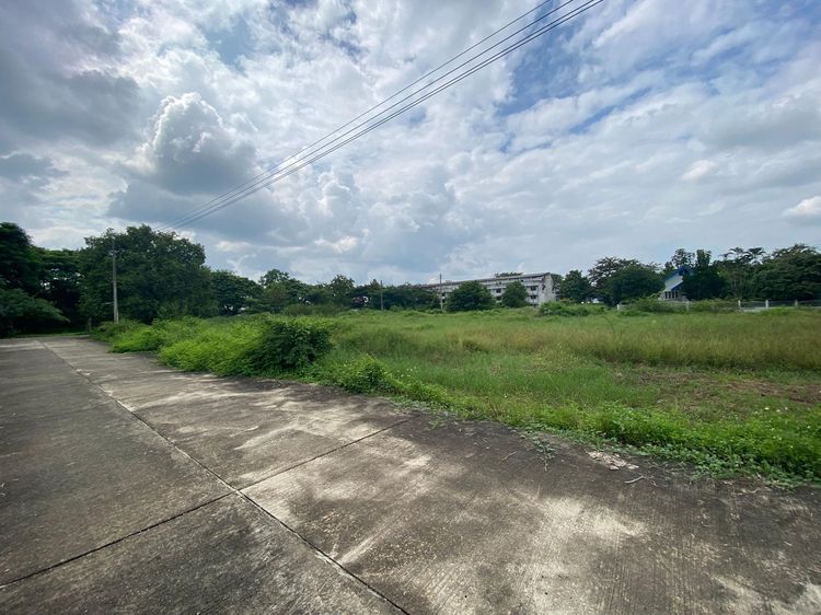 ใช่ 💖 ที่ดิน เมืองลำพูน ราคาพิเศษ! 💖 รูปที่ 4