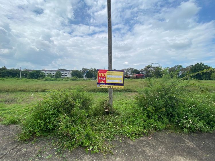 ใช่ 💖 ที่ดิน เมืองลำพูน ราคาพิเศษ! 💖 รูปที่ 2