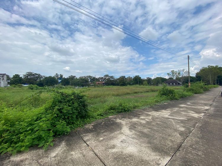 ใช่ 💖 ที่ดิน เมืองลำพูน ราคาพิเศษ! 💖 รูปที่ 3