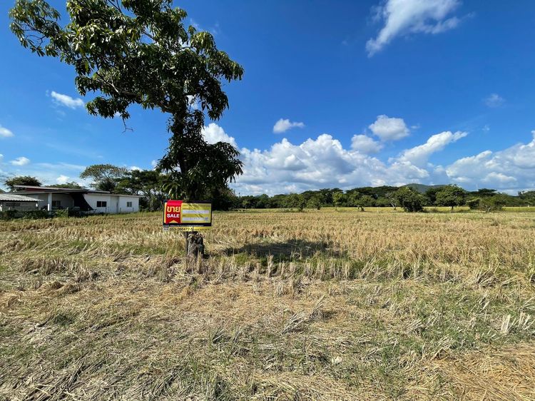 ใช่ 💖 ที่ดิน สันทราย ราคาพิเศษ! 💖