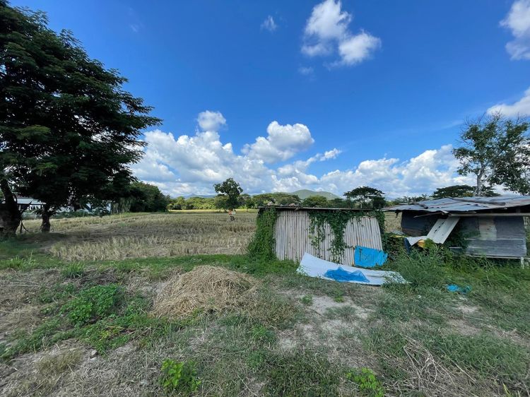 āđāļāđ ð āļāļĩāđāļāļīāļ āļŠāļąāļāļāļĢāļēāļĒ āļĢāļēāļāļēāļāļīāđāļĻāļĐ! ð āļĢāļđāļāļāļĩāđ 3