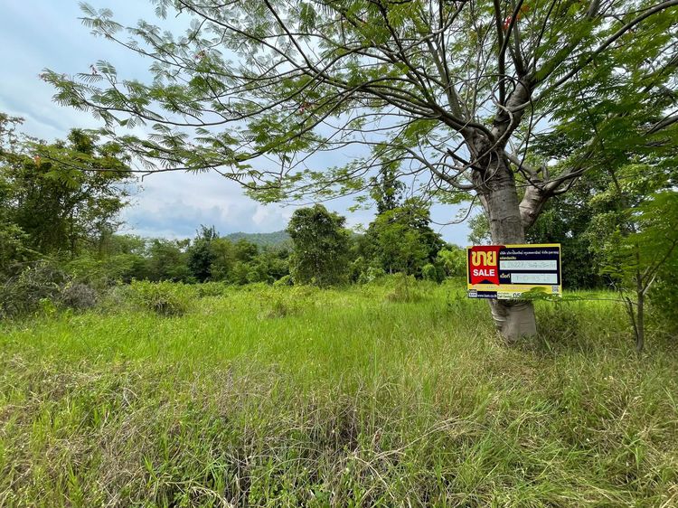 💖 ที่ดิน ดอยสะเก็ด ราคาพิเศษ! 💖