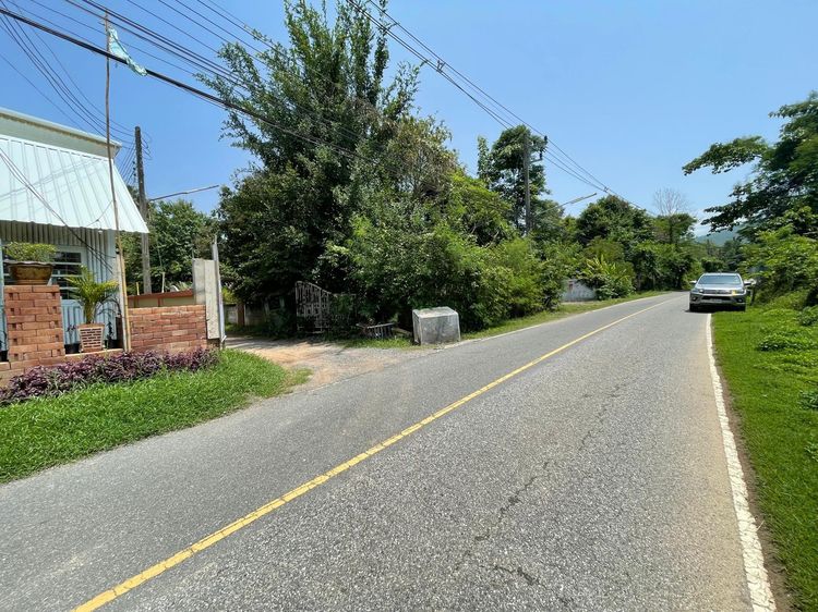 ใช่ 💖 ที่ดิน ดอยสะเก็ด ราคาพิเศษ! 💖 รูปที่ 3