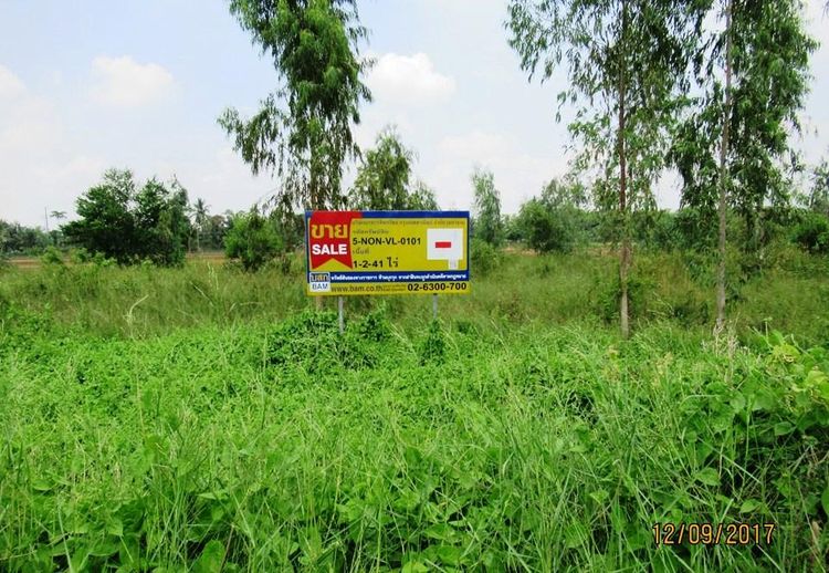 💖 ที่ดิน ไทรน้อย ราคาพิเศษ! 💖