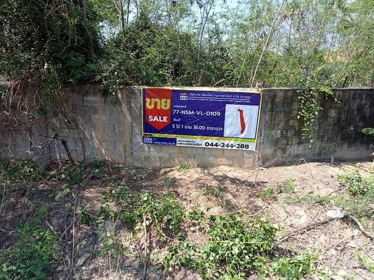 ใช่ 💖 ที่ดิน เมืองนครราชสีมา ราคาพิเศษ! 💖