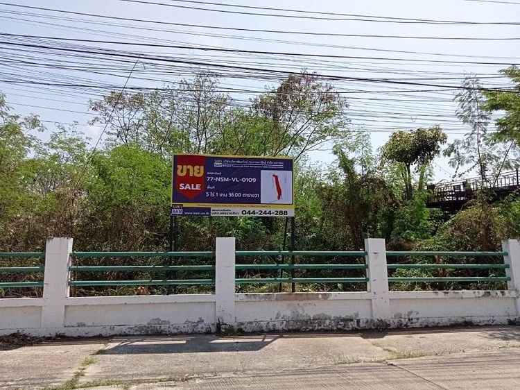 ใช่ 💖 ที่ดิน เมืองนครราชสีมา ราคาพิเศษ! 💖 รูปที่ 3