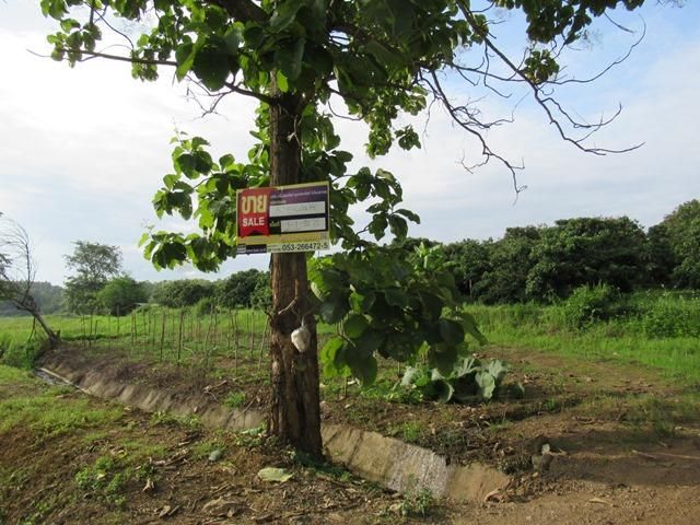 💖 ที่ดิน แม่แตง ราคาพิเศษ! 💖