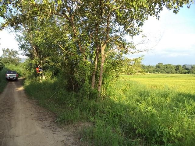 ใช่ 💖 ที่ดิน แม่แตง ราคาพิเศษ! 💖 รูปที่ 2