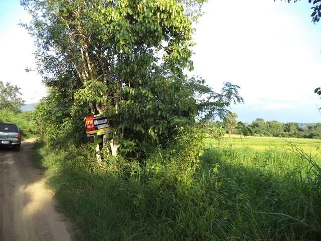 💖 ที่ดิน แม่แตง ราคาพิเศษ! 💖