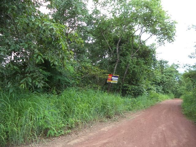 ใช่ 💖 ที่ดิน แม่แตง ราคาพิเศษ! 💖 รูปที่ 2