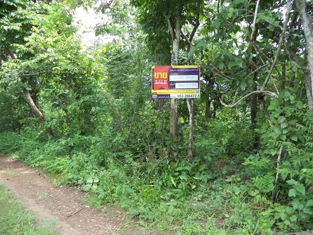 💖 ที่ดิน แม่แตง ราคาพิเศษ! 💖