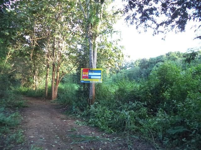 āđāļāđ ð āļāļĩāđāļāļīāļ āđāļĄāđāđāļāļ āļĢāļēāļāļēāļāļīāđāļĻāļĐ! ð āļĢāļđāļāļāļĩāđ 2