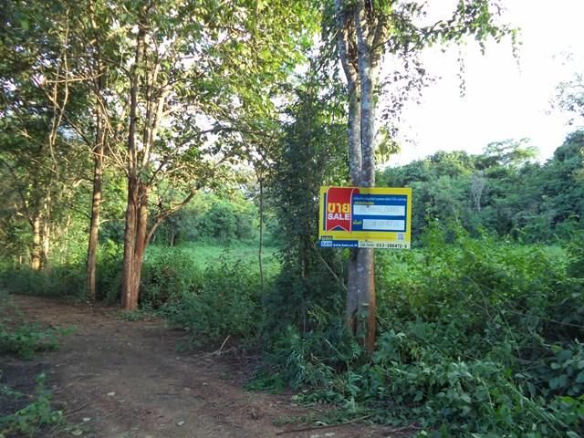 ใช่ 💖 ที่ดิน แม่แตง ราคาพิเศษ! 💖