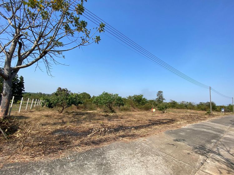 ใช่ 💖 ที่ดิน เมืองลำพูน ราคาพิเศษ! 💖 รูปที่ 2