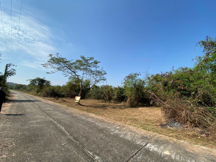 ใช่ 💖 ที่ดิน เมืองลำพูน ราคาพิเศษ! 💖 รูปที่ 3