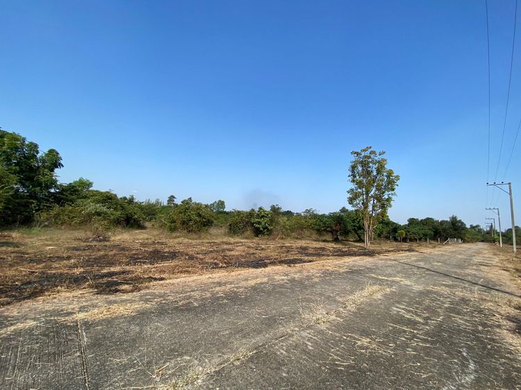 āđāļāđ ð āļāļĩāđāļāļīāļ āđāļĄāļ·āļāļāļĨāļģāļāļđāļ āļĢāļēāļāļēāļāļīāđāļĻāļĐ! ð āļĢāļđāļāļāļĩāđ 3