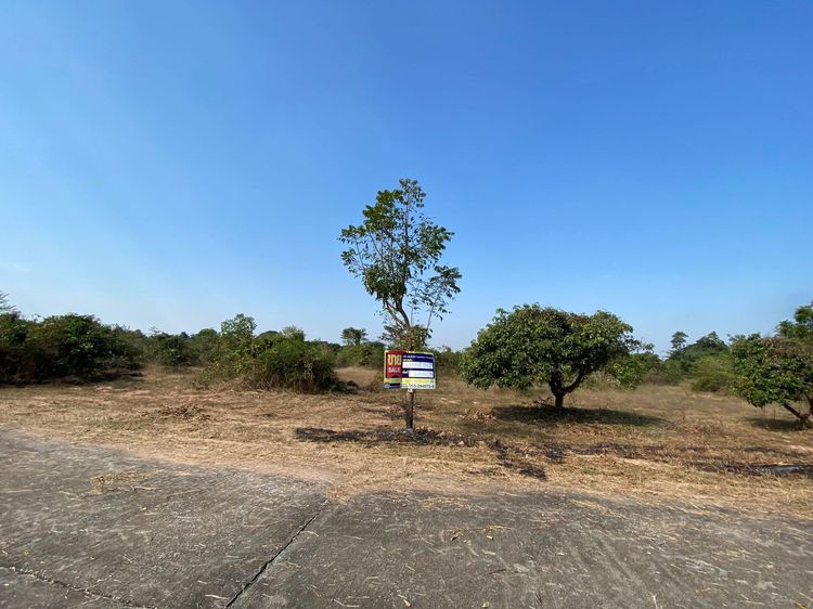 ใช่ 💖 ที่ดิน เมืองลำพูน ราคาพิเศษ! 💖