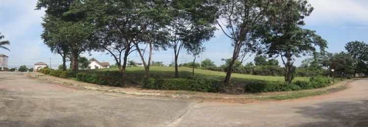 ใช่ 💖 ที่ดิน โชคชัย ราคาพิเศษ! 💖 รูปที่ 4