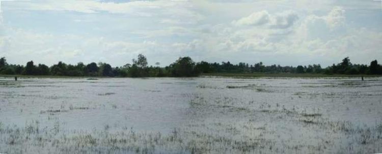 ใช่ 💖 ที่ดิน บางกล่ำ ราคาพิเศษ! 💖 รูปที่ 2