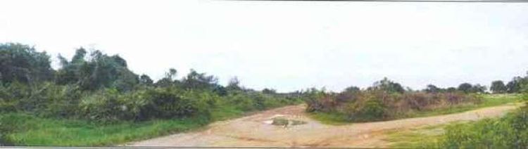 ใช่ 💖 ที่ดิน บางกล่ำ ราคาพิเศษ! 💖 รูปที่ 4