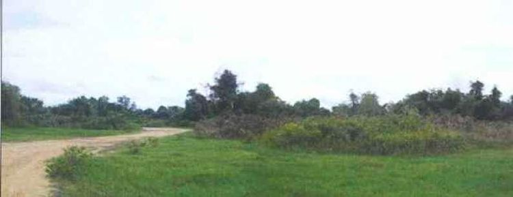 āđāļāđ ð āļāļĩāđāļāļīāļ āļāļēāļāļāļĨāđāļģ āļĢāļēāļāļēāļāļīāđāļĻāļĐ! ð āļĢāļđāļāļāļĩāđ 2