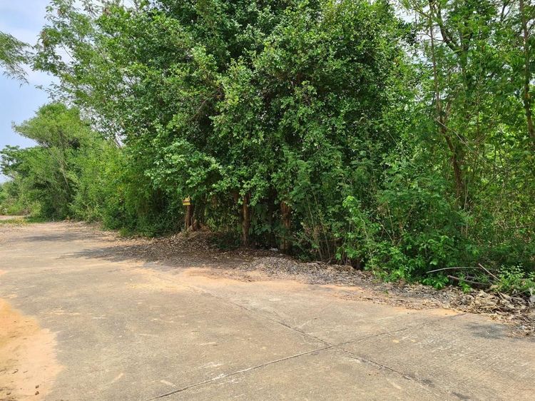 ใช่ 💖 ที่ดิน เมืองขอนแก่น ราคาพิเศษ! 💖 รูปที่ 3