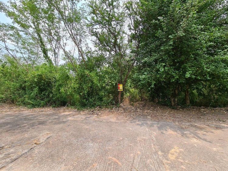 ใช่ 💖 ที่ดิน เมืองขอนแก่น ราคาพิเศษ! 💖 รูปที่ 2