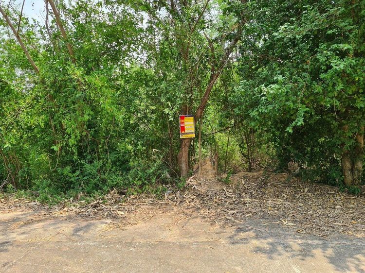 💖 ที่ดิน เมืองขอนแก่น ราคาพิเศษ! 💖