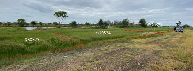 ใช่ 💖 ที่ดิน เมืองลพบุรี ราคาพิเศษ! 💖 รูปที่ 3