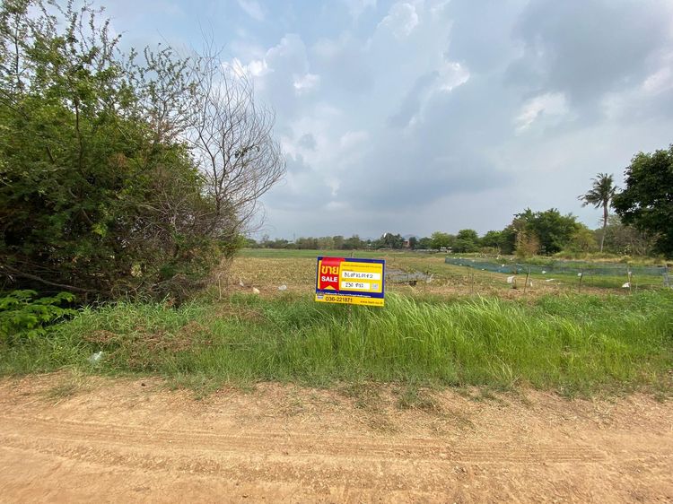 💖 ที่ดิน เมืองลพบุรี ราคาพิเศษ! 💖