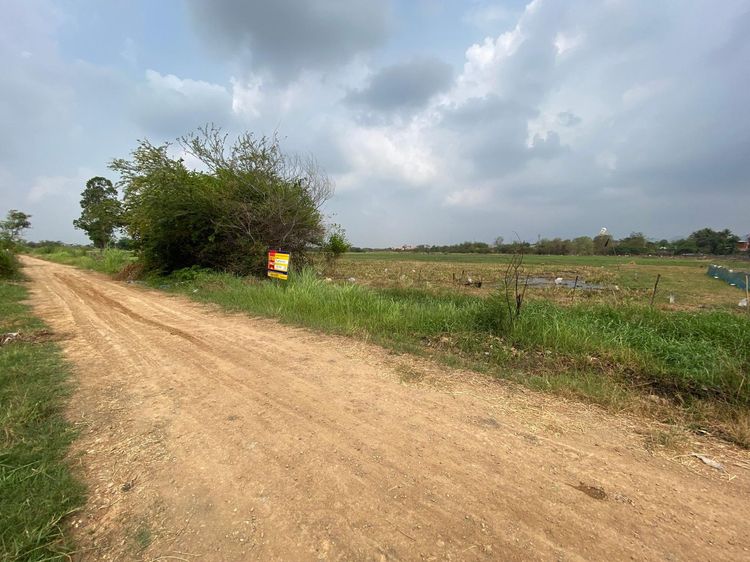 ใช่ 💖 ที่ดิน เมืองลพบุรี ราคาพิเศษ! 💖 รูปที่ 4