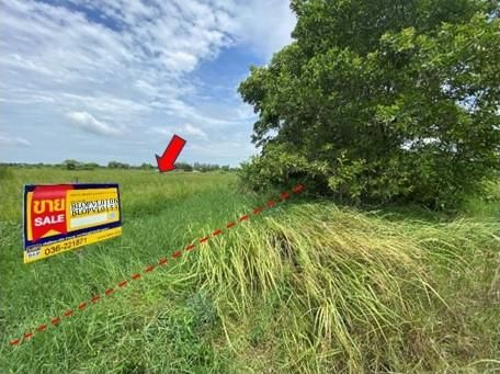 ใช่ 💖 ที่ดิน เมืองลพบุรี ราคาพิเศษ! 💖 รูปที่ 4