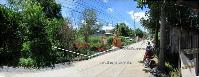 💖 ที่ดิน ท่าวุ้ง ราคาพิเศษ! 💖