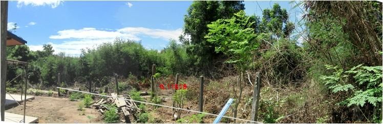 ใช่ 💖 ที่ดิน ท่าวุ้ง ราคาพิเศษ! 💖 รูปที่ 3