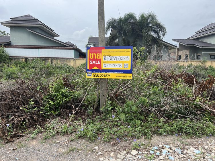 ใช่ 💖 ที่ดิน พัฒนานิคม ราคาพิเศษ! 💖