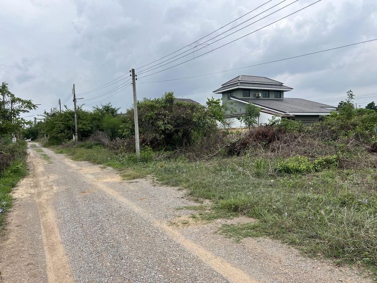 ใช่ 💖 ที่ดิน พัฒนานิคม ราคาพิเศษ! 💖 รูปที่ 4